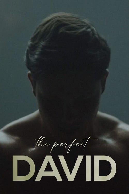 Key visual of The Perfect David