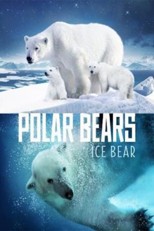 Key visual of Polar Bears: Ice Bear