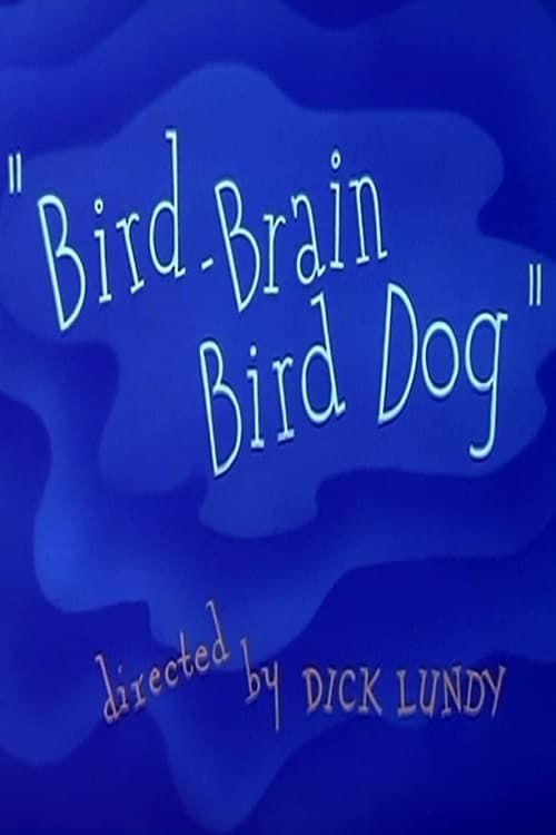 Key visual of Bird-Brain Bird Dog