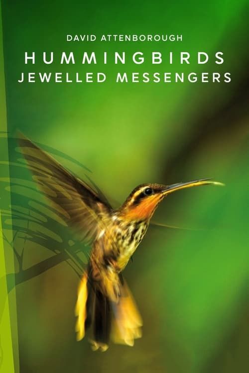 Key visual of Hummingbirds: Jewelled Messengers