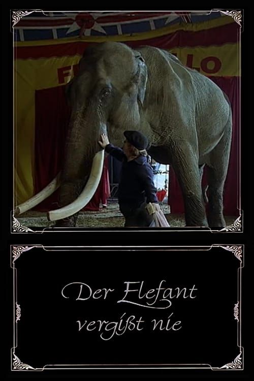 Key visual of The Elephant Never Forgets