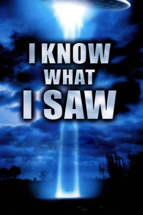 Key visual of I Know What I Saw