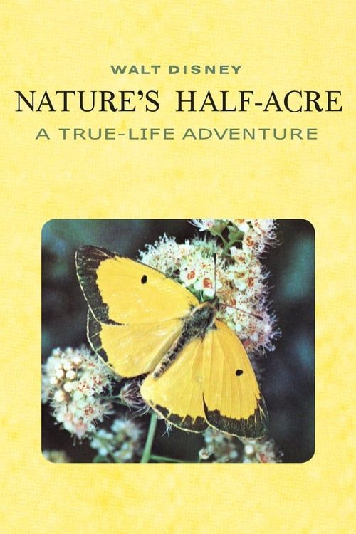 Key visual of Nature's Half Acre