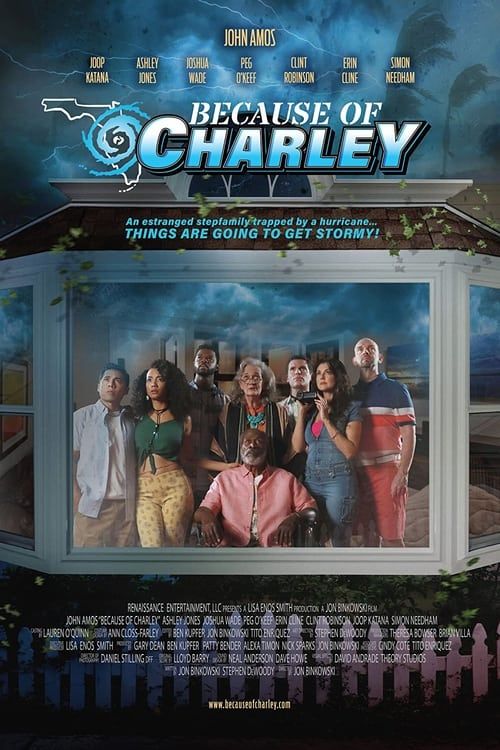 Key visual of Because of Charley