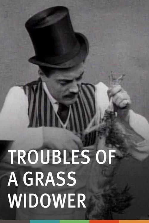 Key visual of Troubles of a Grass Widower