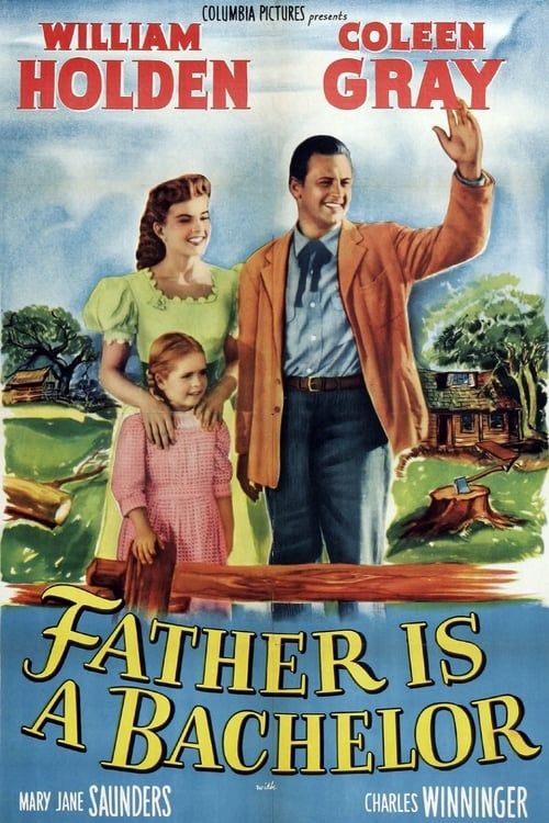 Key visual of Father Is a Bachelor