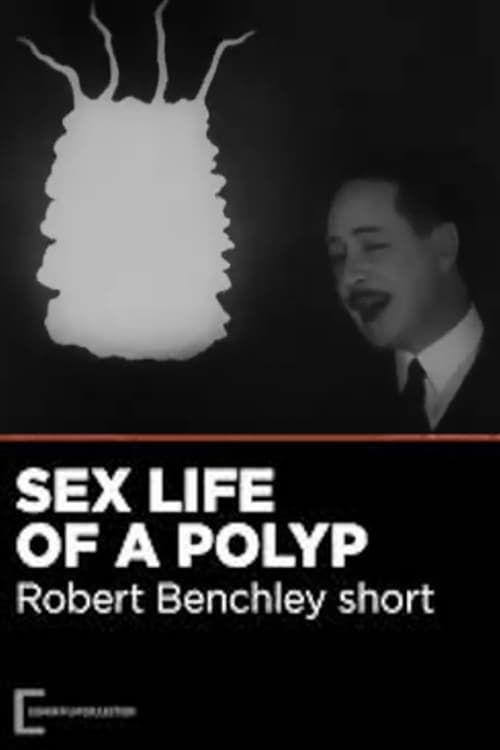 Key visual of The Sex Life of the Polyp