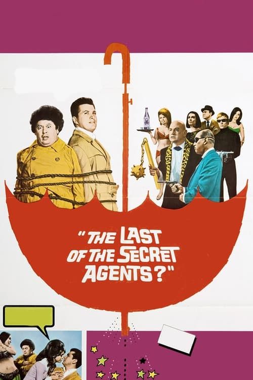 Key visual of The Last of the Secret Agents?