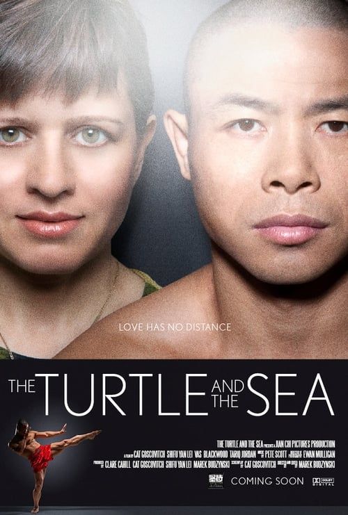 Key visual of The Turtle and the Sea