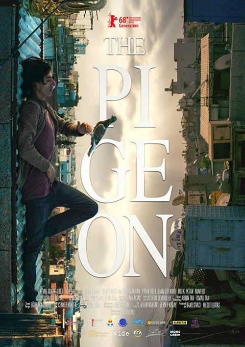 Key visual of The Pigeon