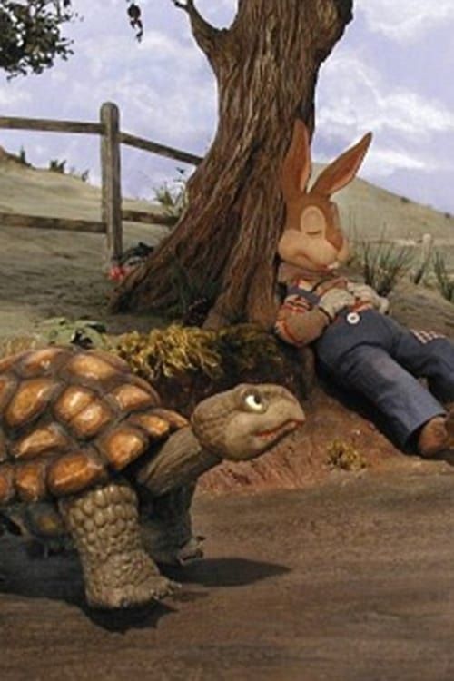 Key visual of The Story of The Tortoise & the Hare