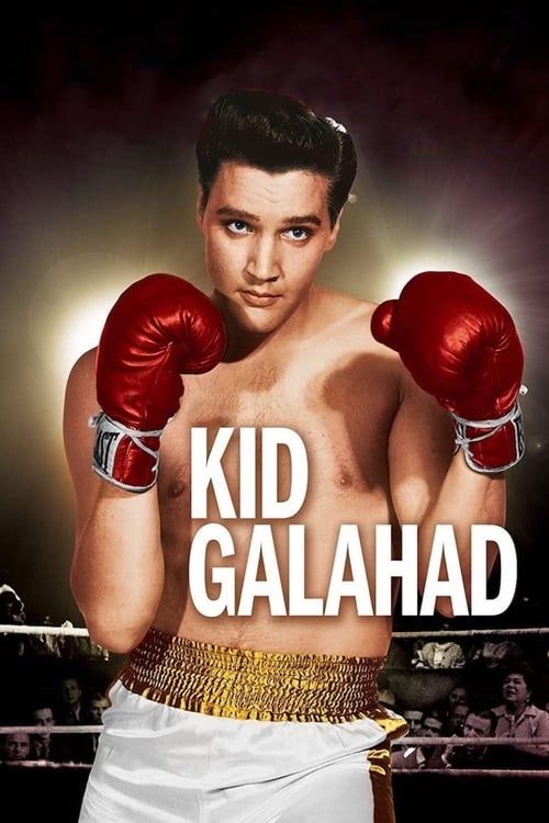 Key visual of Kid Galahad