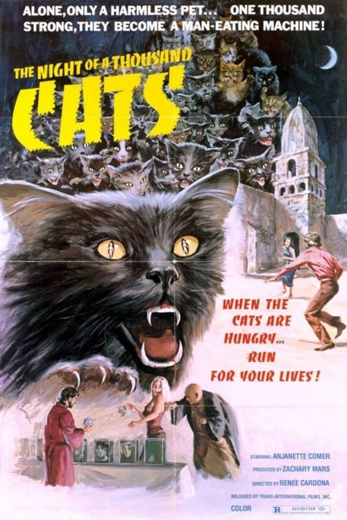 Key visual of The Night of a Thousand Cats