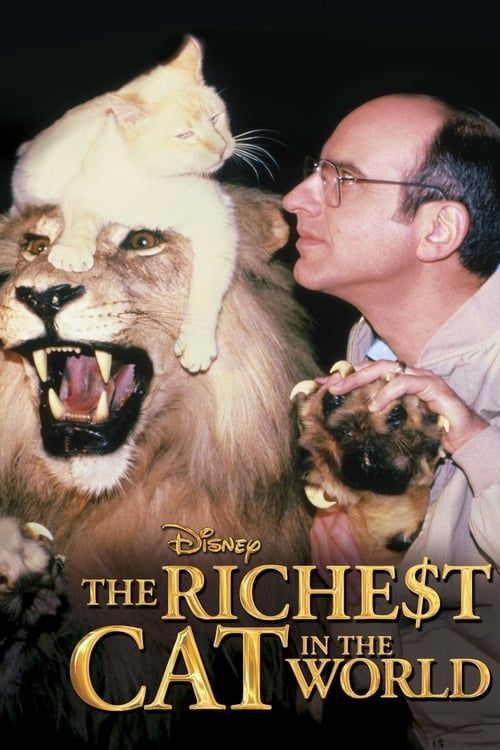 Key visual of The Richest Cat in the World