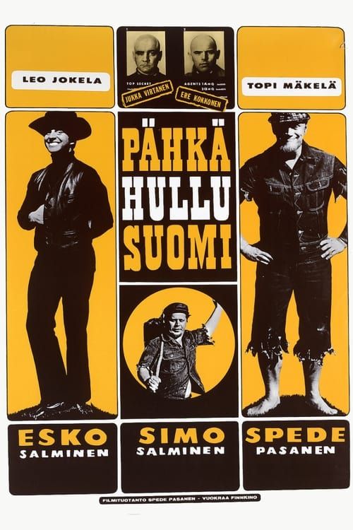 Key visual of Pähkähullu Suomi