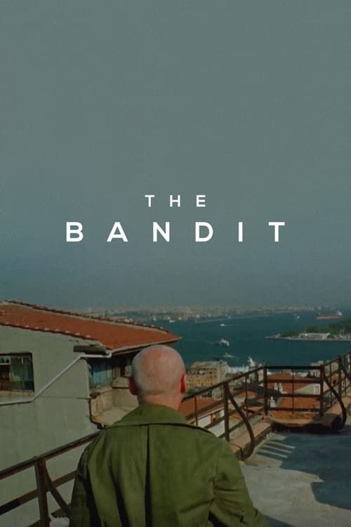 Key visual of The Bandit