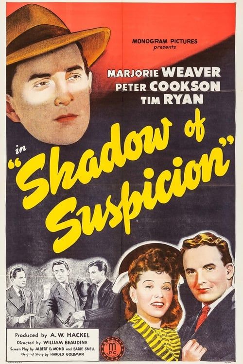 Key visual of Shadow of Suspicion