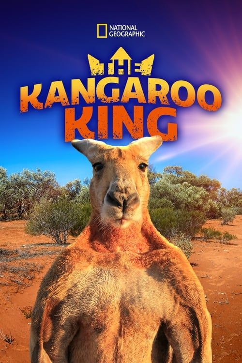 Key visual of The Kangaroo King