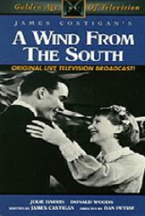 Key visual of A Wind from the South
