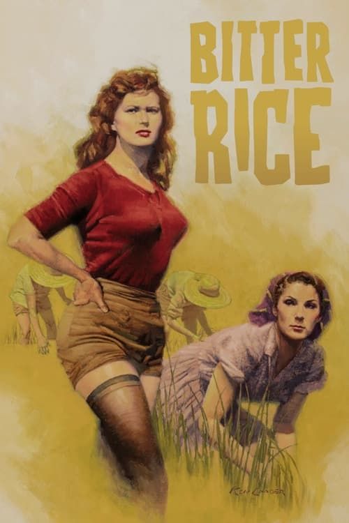 Key visual of Bitter Rice