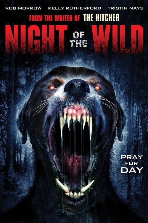 Key visual of Night of the Wild