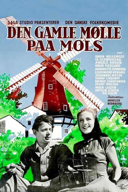 Key visual of Den gamle mølle paa Mols