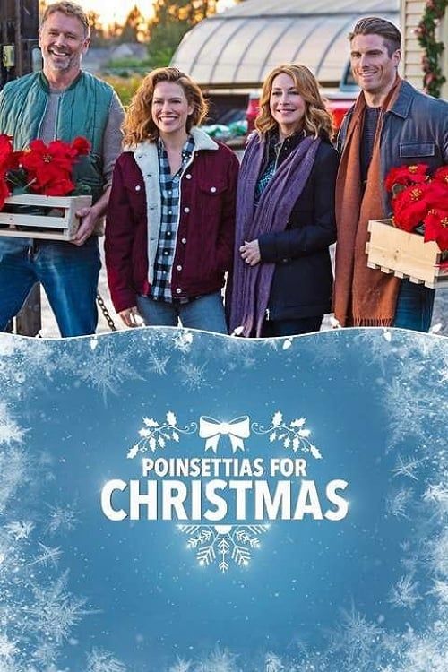 Key visual of Poinsettias for Christmas