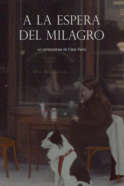 Key visual of A la espera del milagro