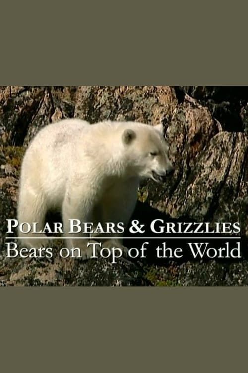 Key visual of Polar Bears & Grizzlies: Bears on Top of the World