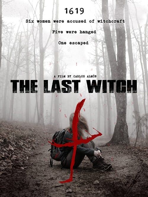 Key visual of The Last Witch