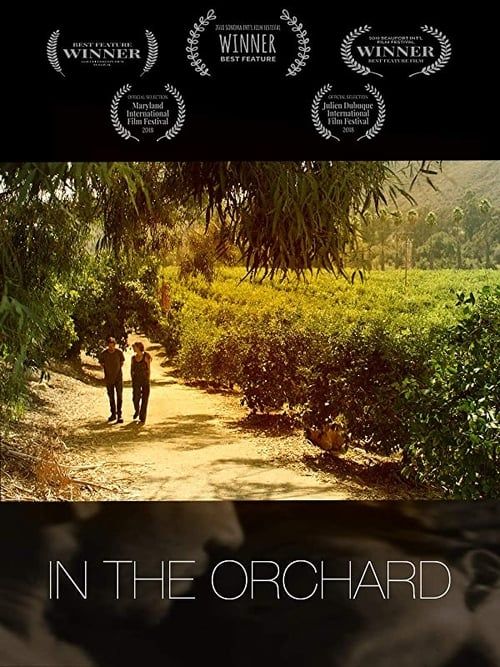 Key visual of In The Orchard