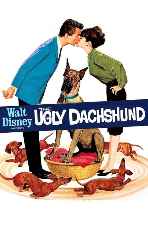 Key visual of The Ugly Dachshund