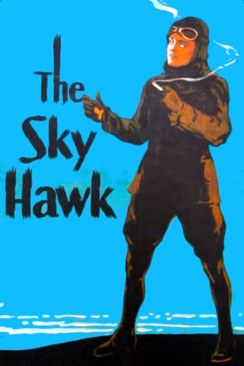 Key visual of The Sky Hawk