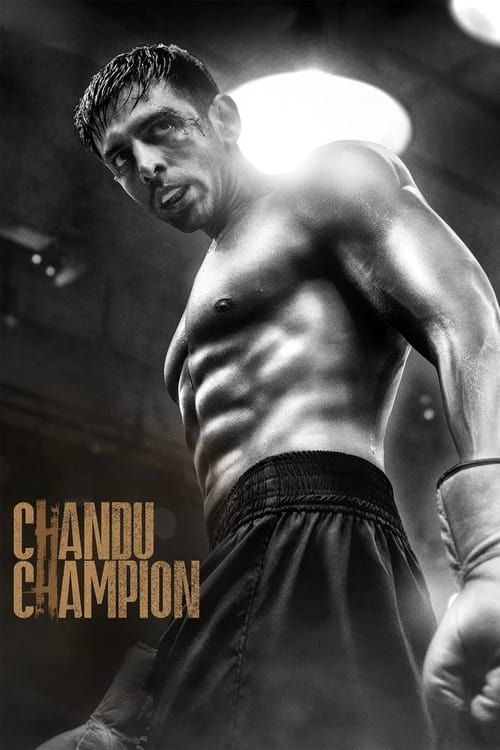 Key visual of Chandu Champion