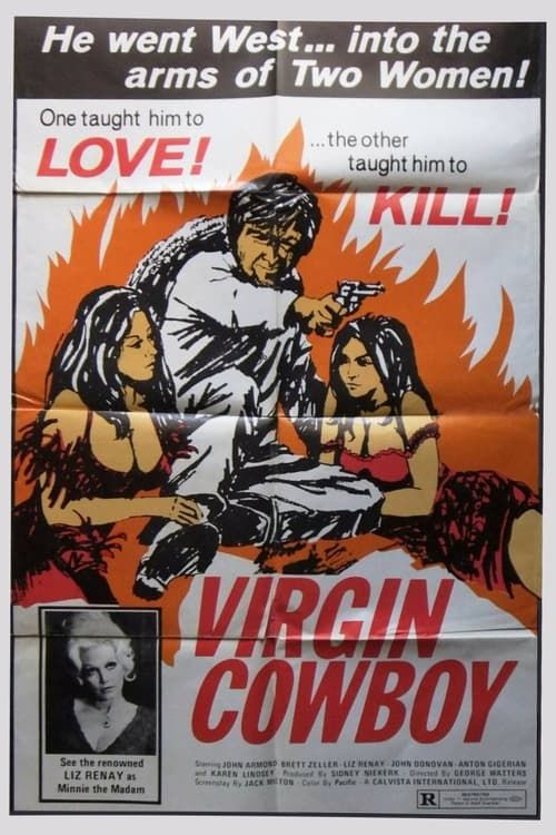 Key visual of Virgin Cowboy