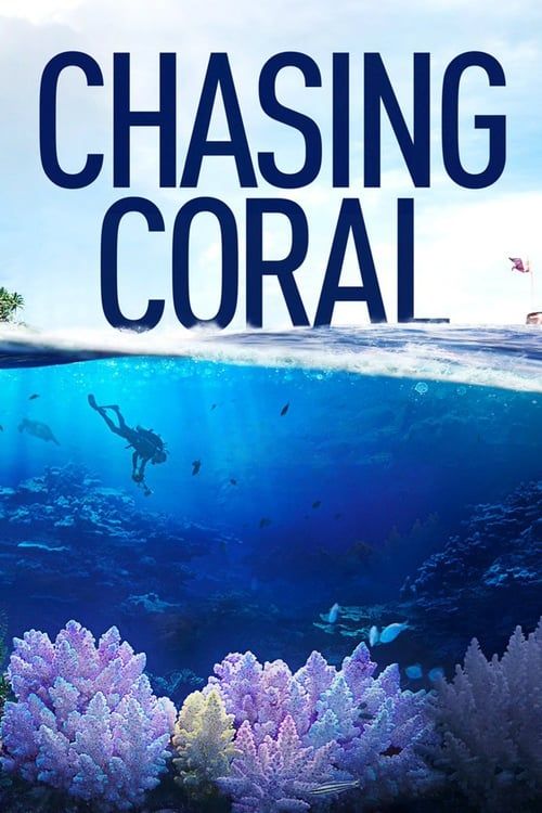 Key visual of Chasing Coral