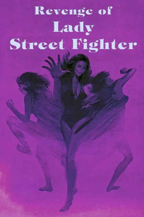 Key visual of Revenge of Lady Street Fighter