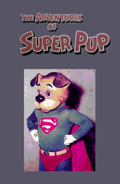 Key visual of The Adventures of Super Pup