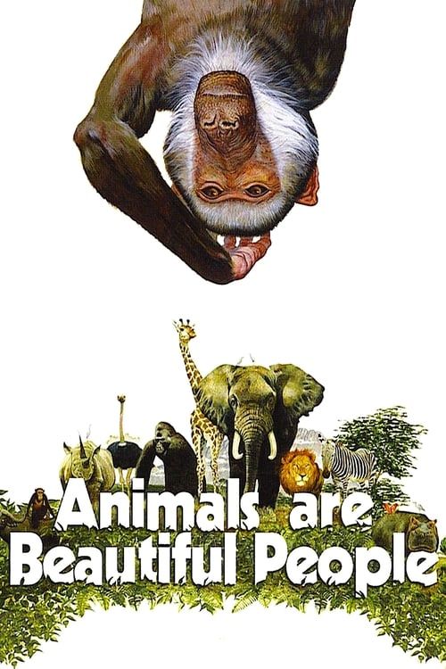 Key visual of Animals Are Beautiful People