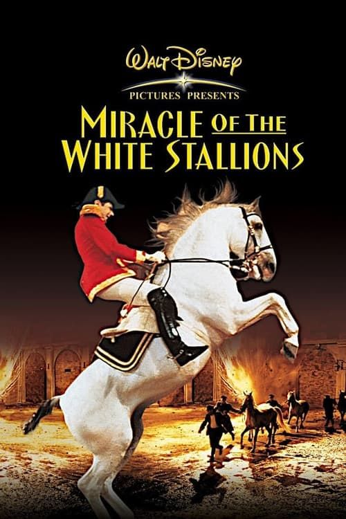 Key visual of Miracle of the White Stallions