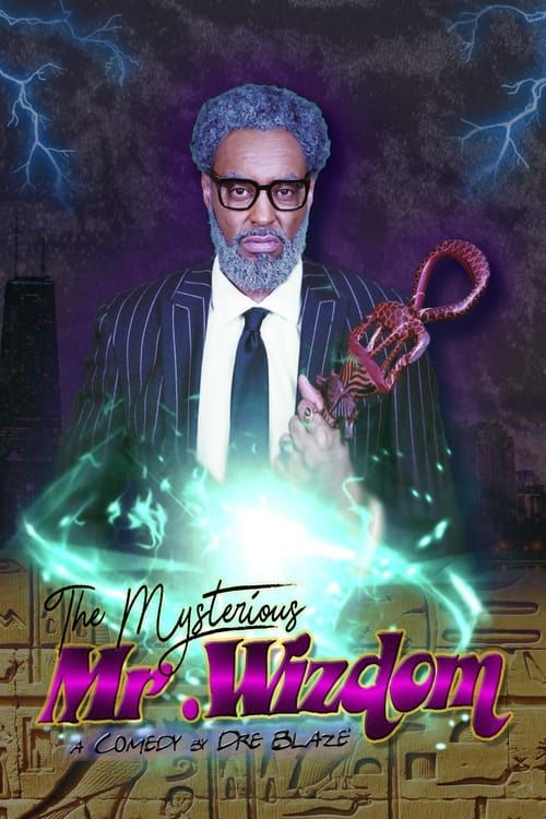 Key visual of The Mysterious Mr. Wizdom