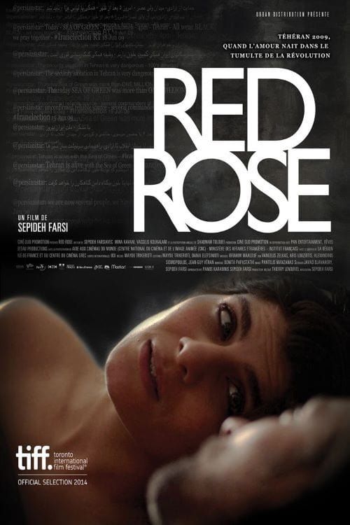 Key visual of Red Rose