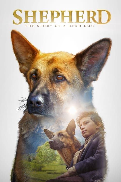 Key visual of Shepherd: The Hero Dog