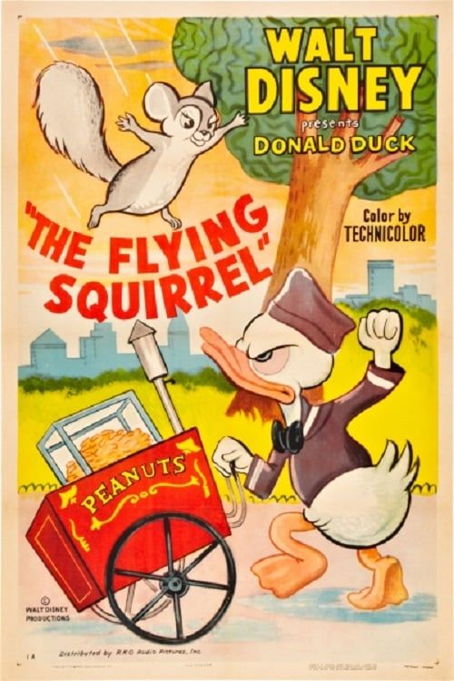 Key visual of The Flying Squirrel