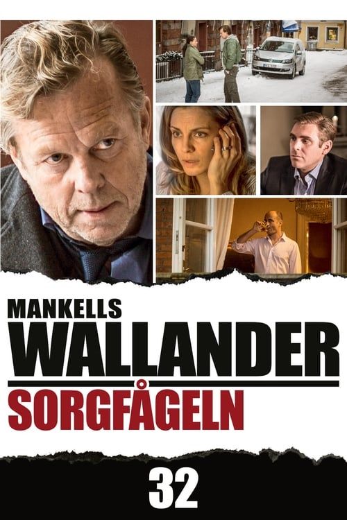 Key visual of Wallander 32 - The Sad Bird