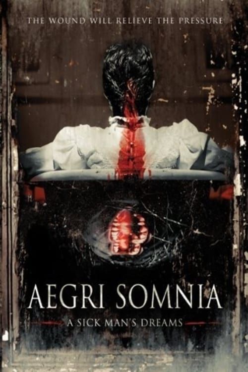 Key visual of Aegri Somnia