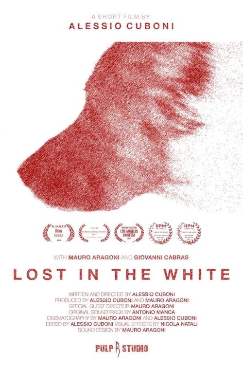 Key visual of Lost in the White