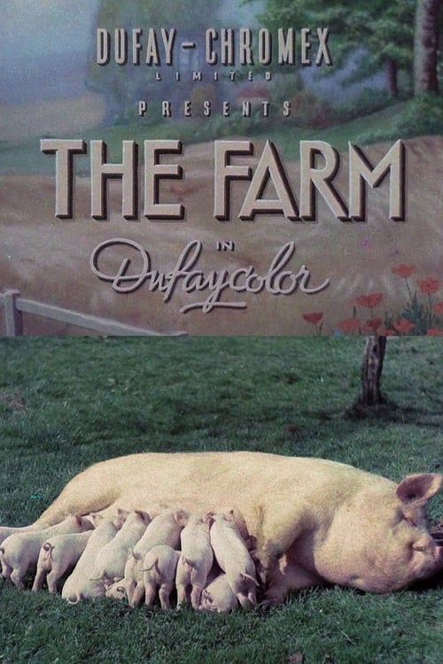 Key visual of The Farm