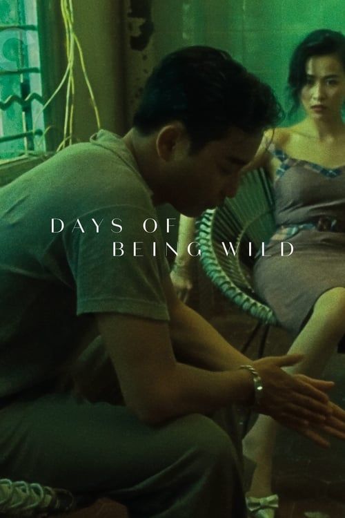 Key visual of Days of Being Wild