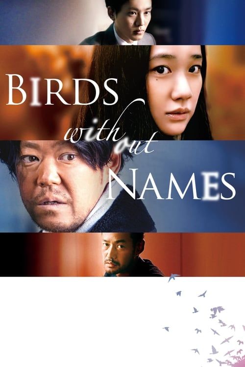 Key visual of Birds Without Names